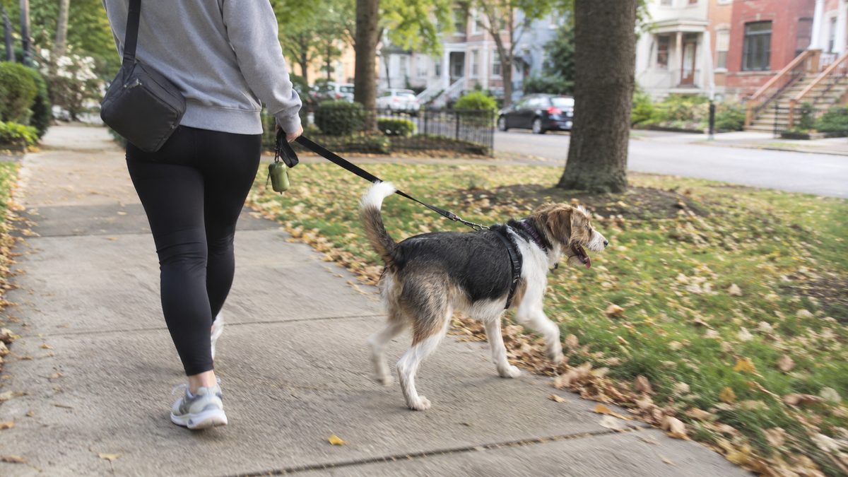 How Your Dog Can Help You Get More Exercise—Without It Feeling Like a Workout