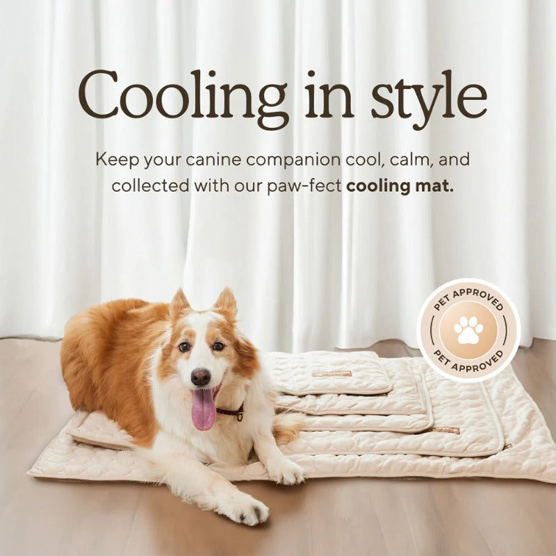 Portable Pet Cooling Mat – No Gel, No Freezing, Instant Relief in Seconds