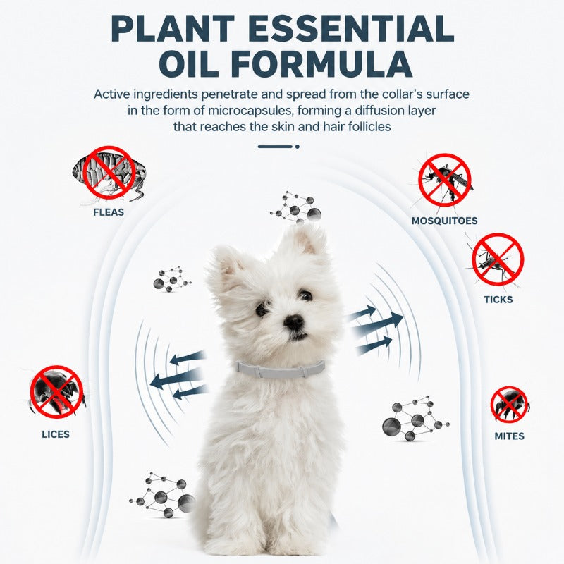 Natural Anxiety-Relief Flea & Tick Collar for Dogs & Cats