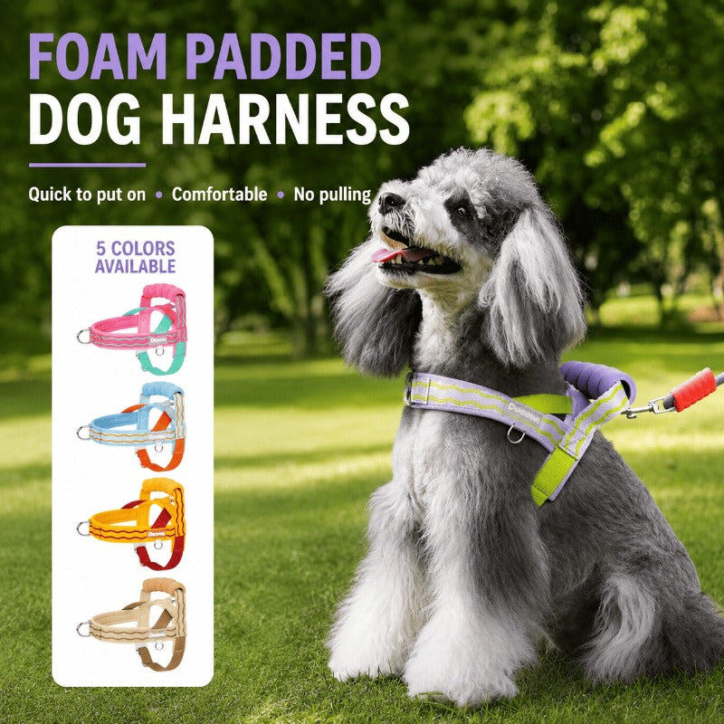 Foam Handle Dog Control Harness – Adjustable, Breathable & Training-Ready