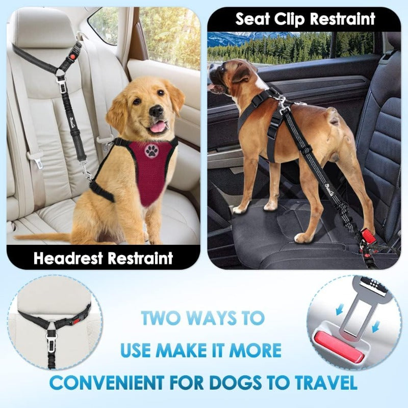 Shock-Absorbing Dog Car Seatbelt – Dual-Anchor Safety Restraint for Dogs