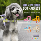 Foam Handle Dog Control Harness – Adjustable, Breathable & Training-Ready