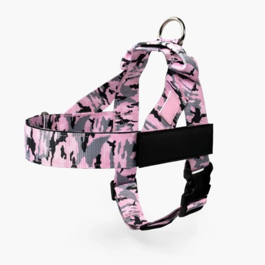 Adjustable Neck & Chafe-Resistant Dog Harness for Small Dogs – No-Pull, Soft Mesh, Easy-Click Buckle