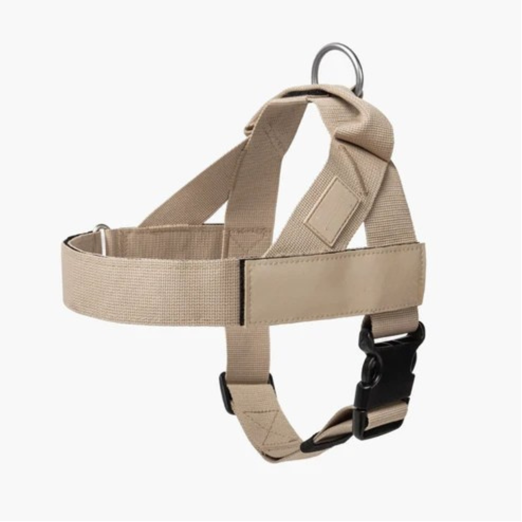 Adjustable Neck & Chafe-Resistant Dog Harness for Small Dogs – No-Pull, Soft Mesh, Easy-Click Buckle
