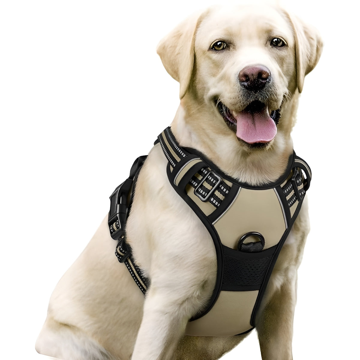 No-Pull Dog Harness with Dual Leash Clips (Front + Back)