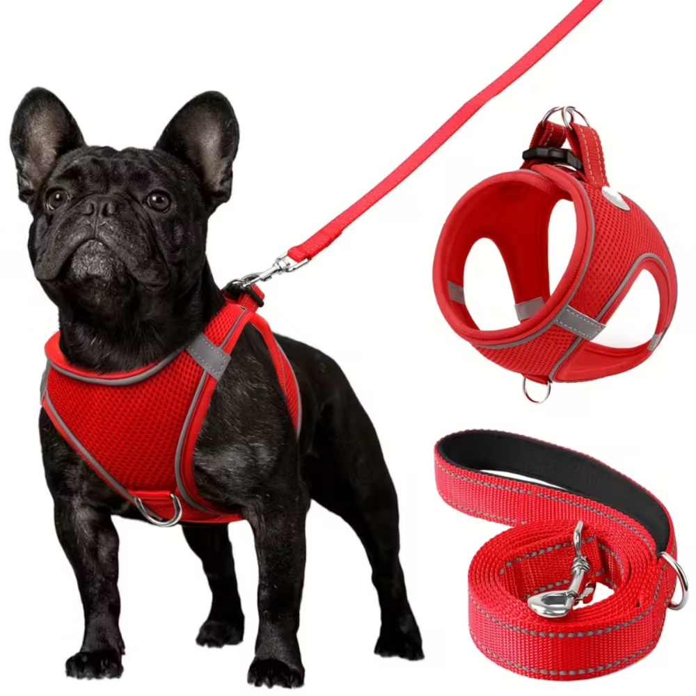 Adjustable Dog Harness & Leash Set – Reflective, Step-In Design for Easy Control