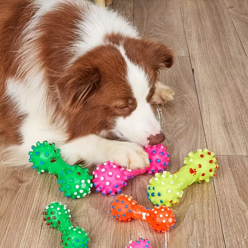 Interactive Squeaky Chew Toys for Dogs – Fun, Durable & Small-Dog Friendly