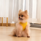 No-Pull Adjustable Dog Harness – Comfortable, Escape-Proof & Easy to Put On
