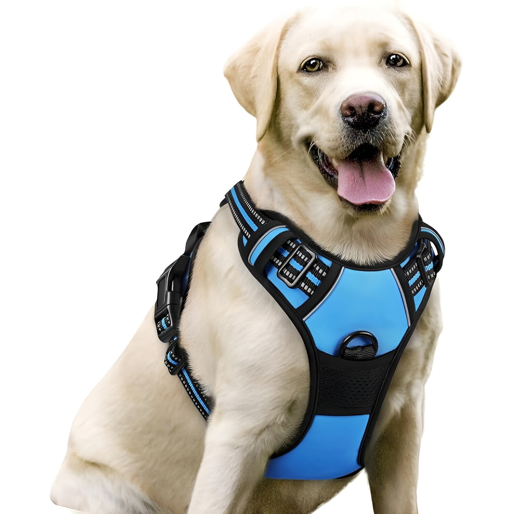 No-Pull Dog Harness with Dual Leash Clips (Front + Back)