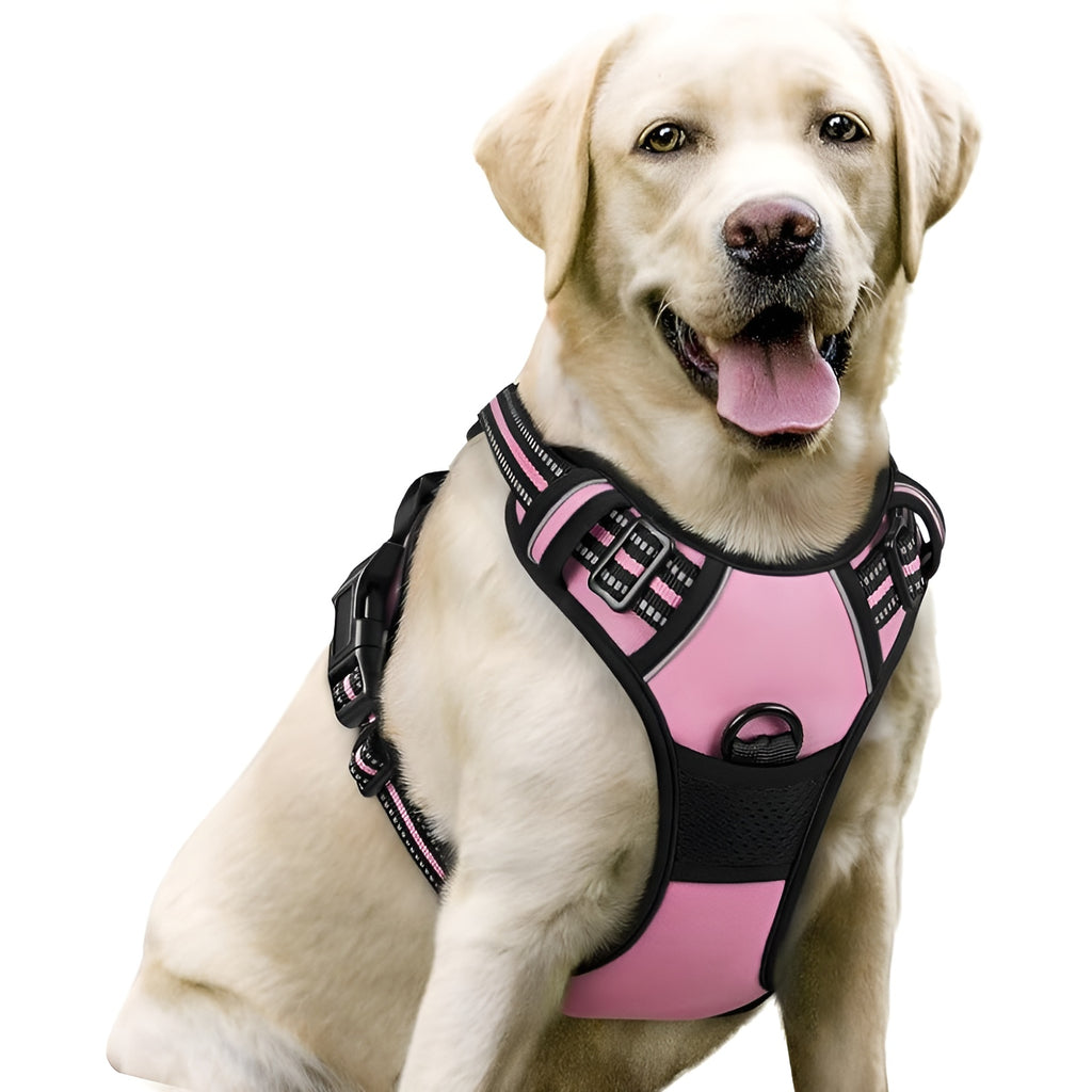 No-Pull Dog Harness with Dual Leash Clips (Front + Back)