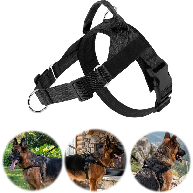 Breathable Mesh No-Pull Dog Harness – Stop Leash Pulling Instantly