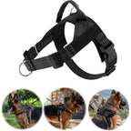 Breathable Mesh No-Pull Dog Harness – Stop Leash Pulling Instantly