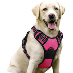 No-Pull Dog Harness with Dual Leash Clips (Front + Back)