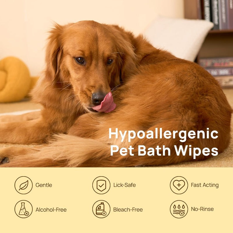 Waterless Pet Grooming Gloves – No-Rinse, Aloe & Oat Infused