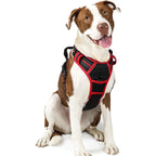 No-Pull Dog Harness with Dual Leash Clips (Front + Back)