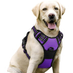 No-Pull Dog Harness with Dual Leash Clips (Front + Back)