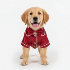 Glossy Pet Pajama Costume Outfit for Small Dogs & Cats