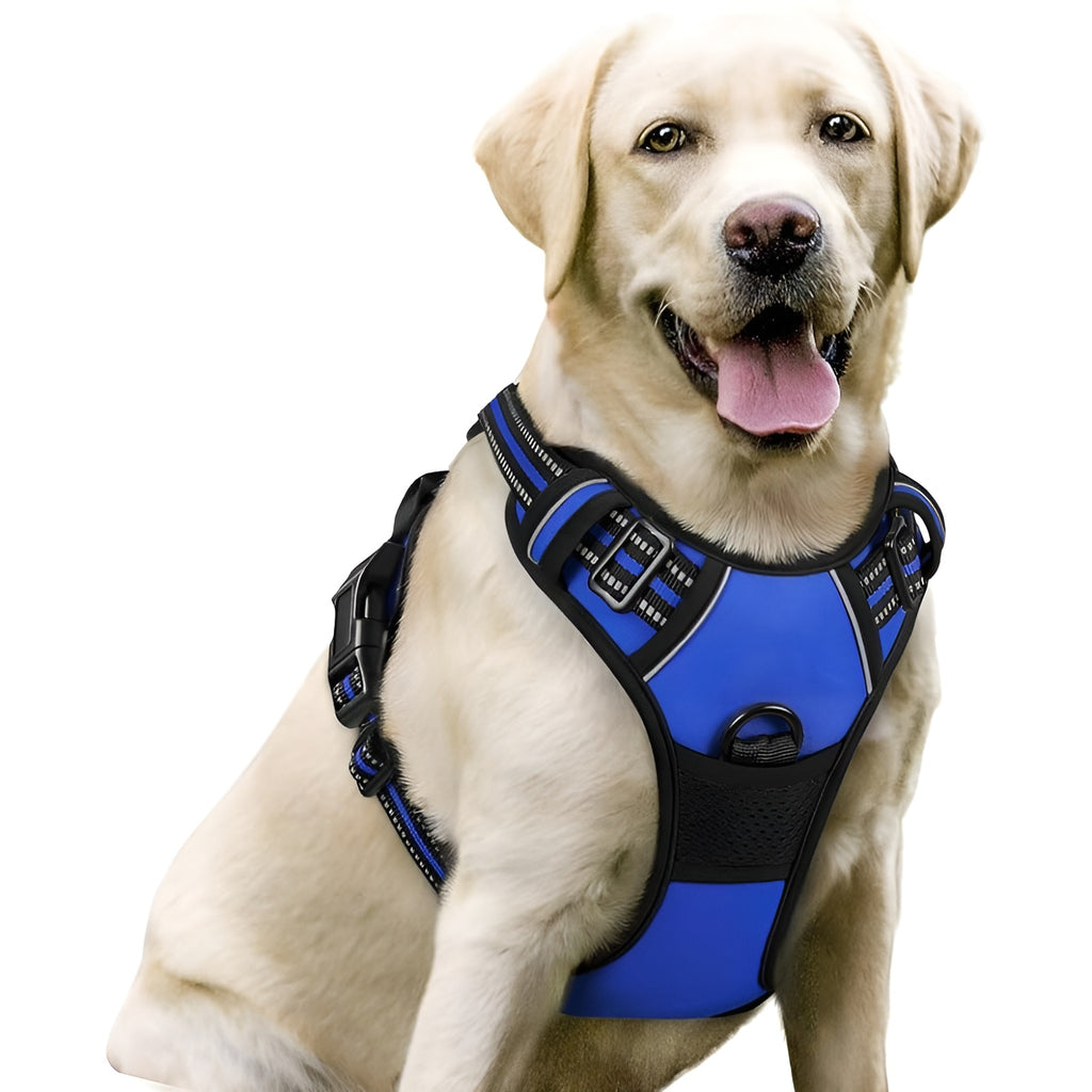 No-Pull Dog Harness with Dual Leash Clips (Front + Back)