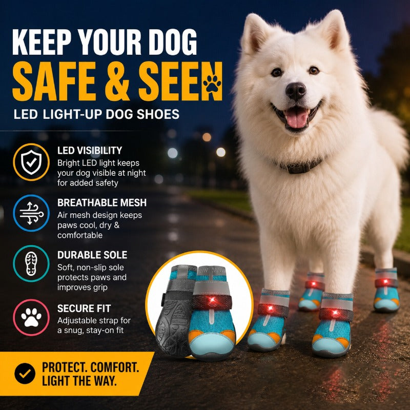 LED Light-Up Dog Boots – Glow-in-the-Dark Pet Shoes for Night Walks