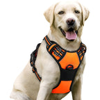 No-Pull Dog Harness with Dual Leash Clips (Front + Back)