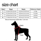 FreeMotion - Custom Y-Shape Dog Harness for Comfort & Control