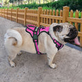 FreeMotion - Custom Y-Shape Dog Harness for Comfort & Control