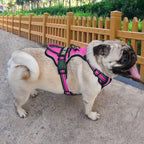 FreeMotion - Custom Y-Shape Dog Harness for Comfort & Control