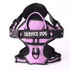 FreeMotion - Custom Y-Shape Dog Harness for Comfort & Control