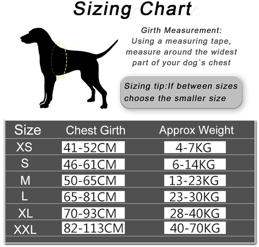 PerfectFit - Custom No-Pull Dog Harness for Comfort & Control
