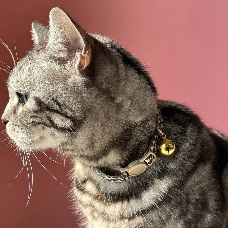 Leopard Print Pet Collar with Adjustable Bell for Cats & Small Dogs