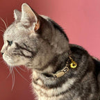 Leopard Print Pet Collar with Adjustable Bell for Cats & Small Dogs