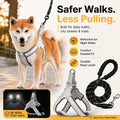 Safe Night Walk Gear for Pets & Owners