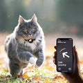Cat Collar with Quick-Release Safety Clasp & GPS Tracker Holder