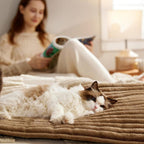 Self-Warming Pet Bed for Dogs & Cats – No Electricity Needed