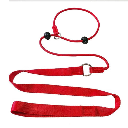 2-in-1 Slip-Lead Dog Leash – Training Collar + Walking Leash with Anti-Tangle Swivel