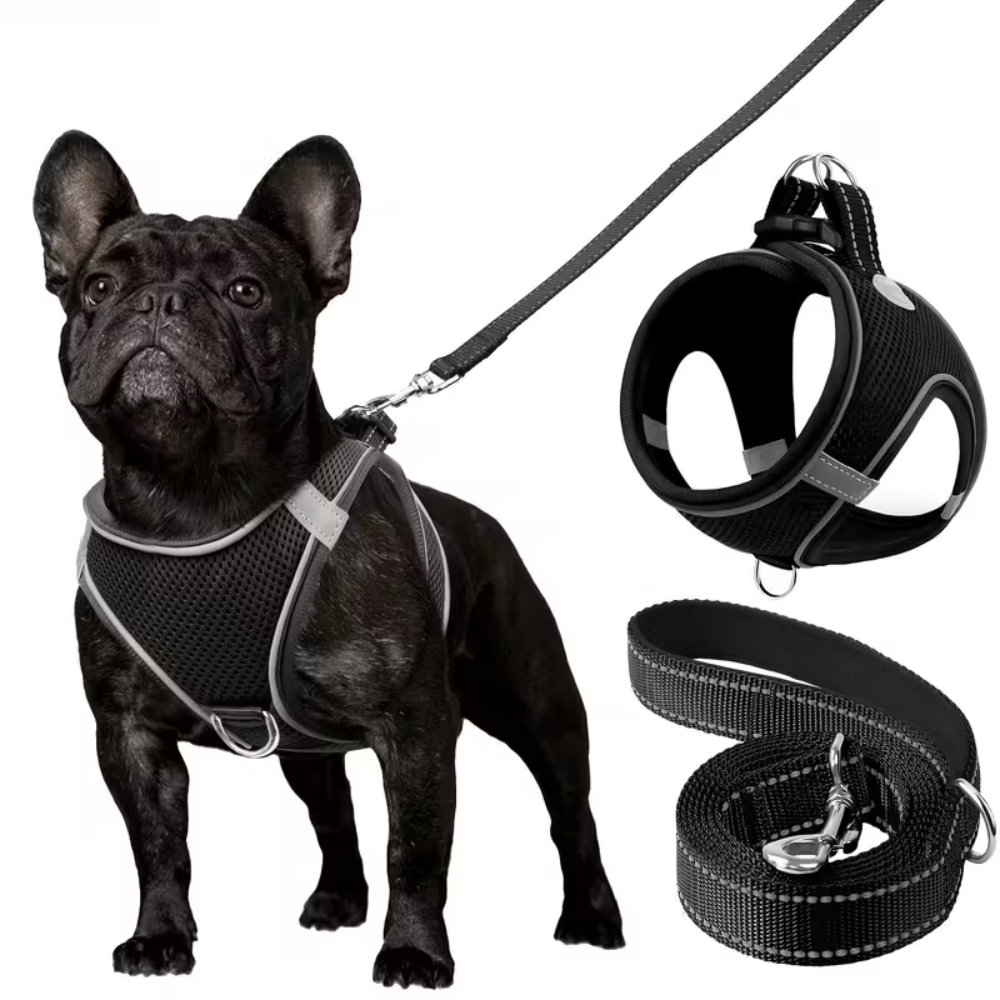 Adjustable Dog Harness & Leash Set – Reflective, Step-In Design for Easy Control