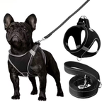 Adjustable Dog Harness & Leash Set – Reflective, Step-In Design for Easy Control