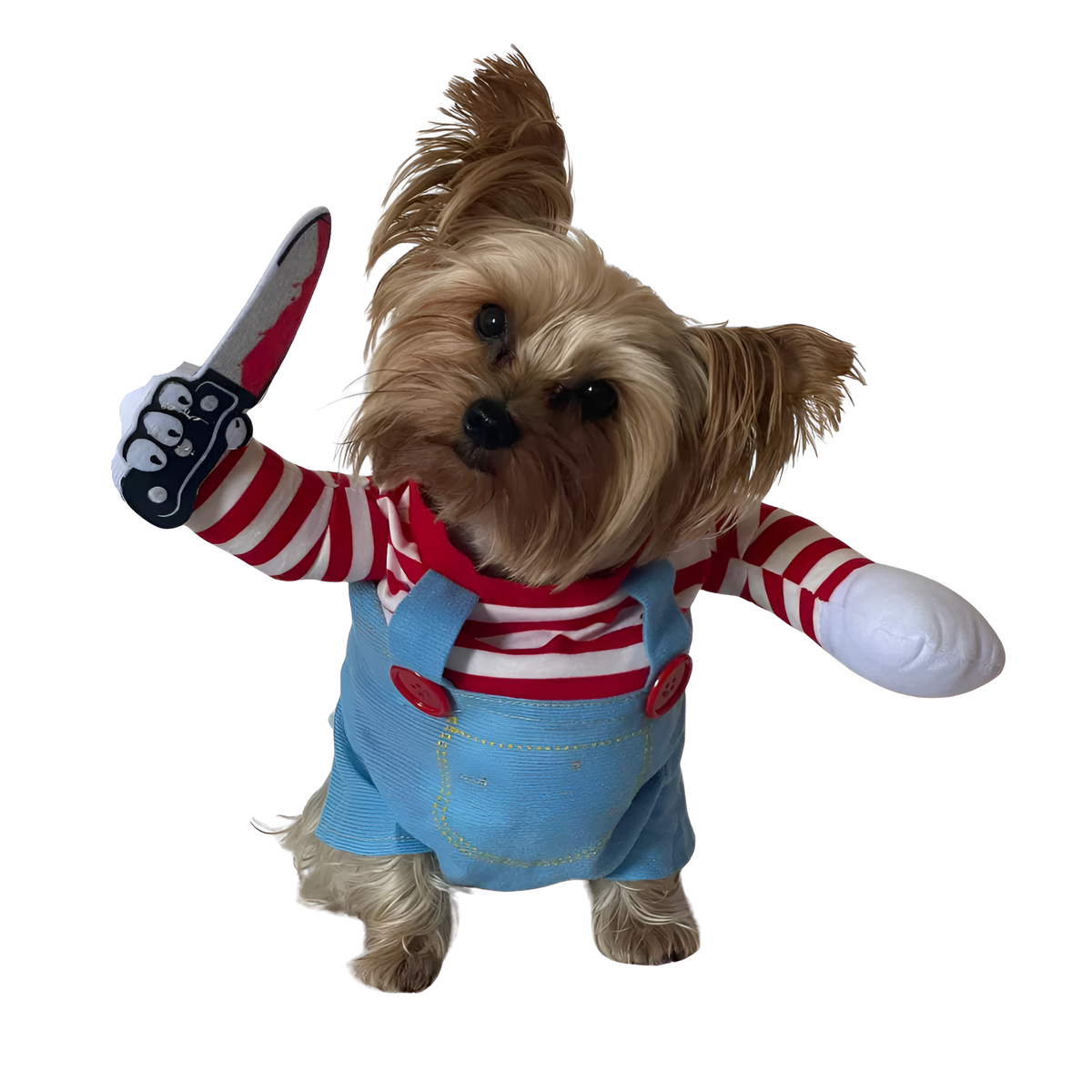 Yorkie Halloween Dog Costume – Cute Overalls Outfit for Small Dogs