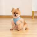 No-Pull Adjustable Dog Harness – Comfortable, Escape-Proof & Easy to Put On