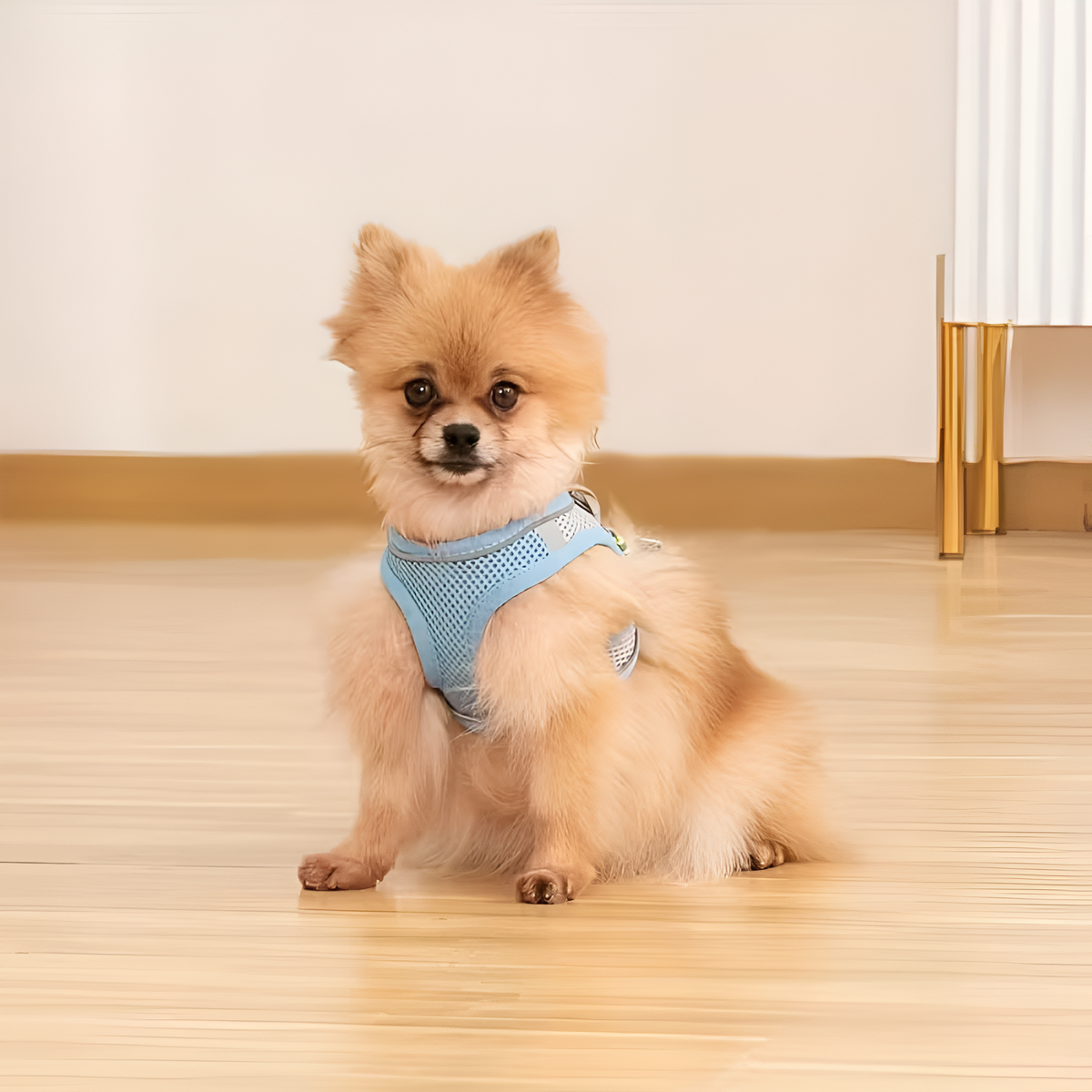 No-Pull Adjustable Dog Harness – Comfortable, Escape-Proof & Easy to Put On