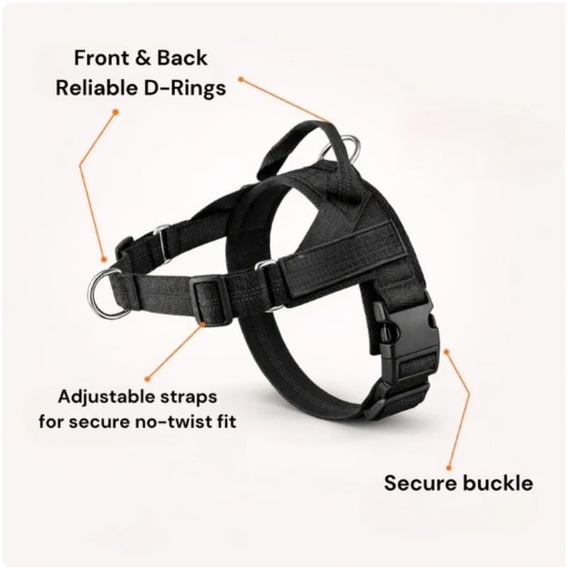 Breathable Mesh No-Pull Dog Harness – Stop Leash Pulling Instantly