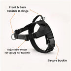 Breathable Mesh No-Pull Dog Harness – Stop Leash Pulling Instantly