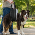 Dog Support Harness – Adjustable Rehabilitation Belt for Senior, Post-Surgery & Mobility Support