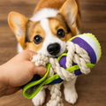 Squeaky Dog Slipper Toy with Sturdy Cotton Rope – Dental Cleaning & Fun Chew Toy