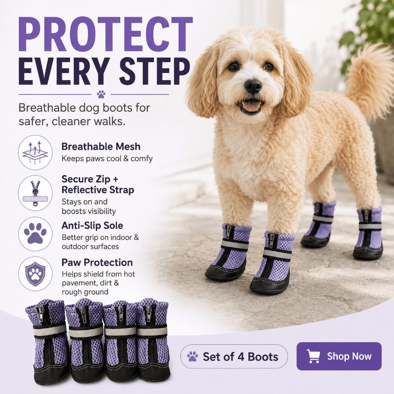 Breathable Mesh Dog Boots – Slip-Resistant & Easy-On Zip Design
