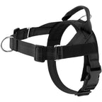 Breathable Mesh No-Pull Dog Harness – Stop Leash Pulling Instantly