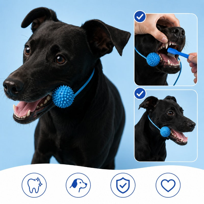 Hands-Free Dog Toothbrushing Aid — Chewable Dental Cleaner for Small & Medium Dogs