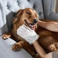 Pet Glove Cleaning Wipes – No-Rinse, Hypoallergenic Fur & Paw Fresheners