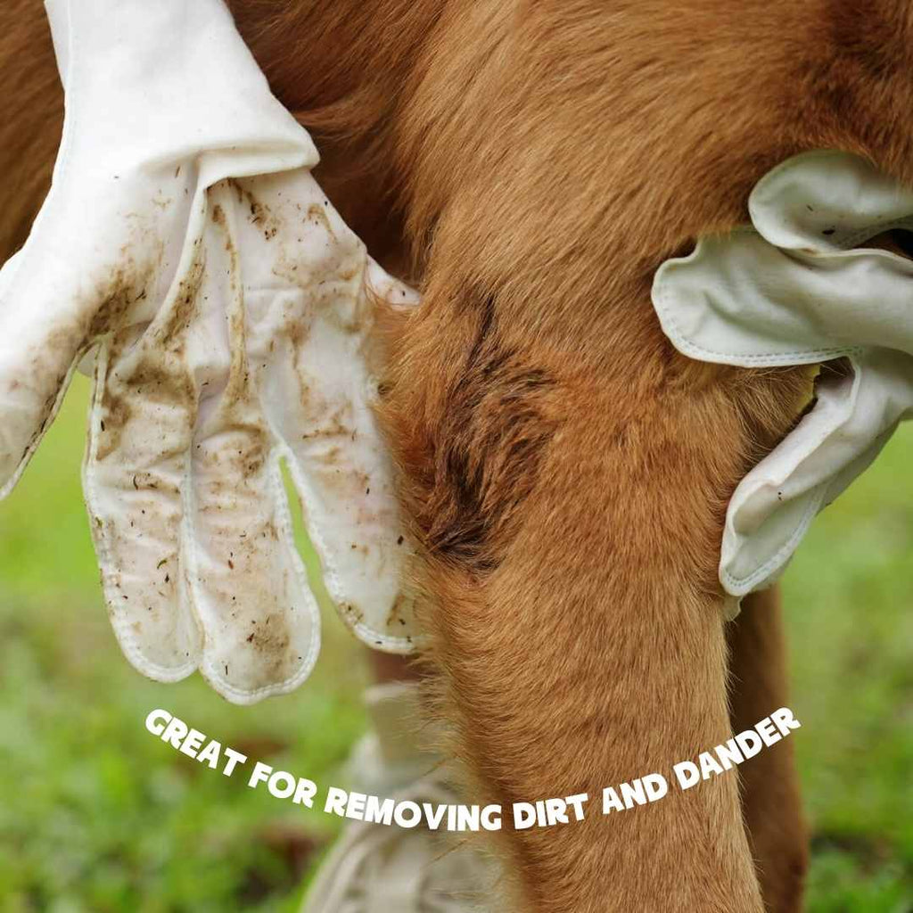 Pet Glove Cleaning Wipes – No-Rinse, Hypoallergenic Fur & Paw Fresheners