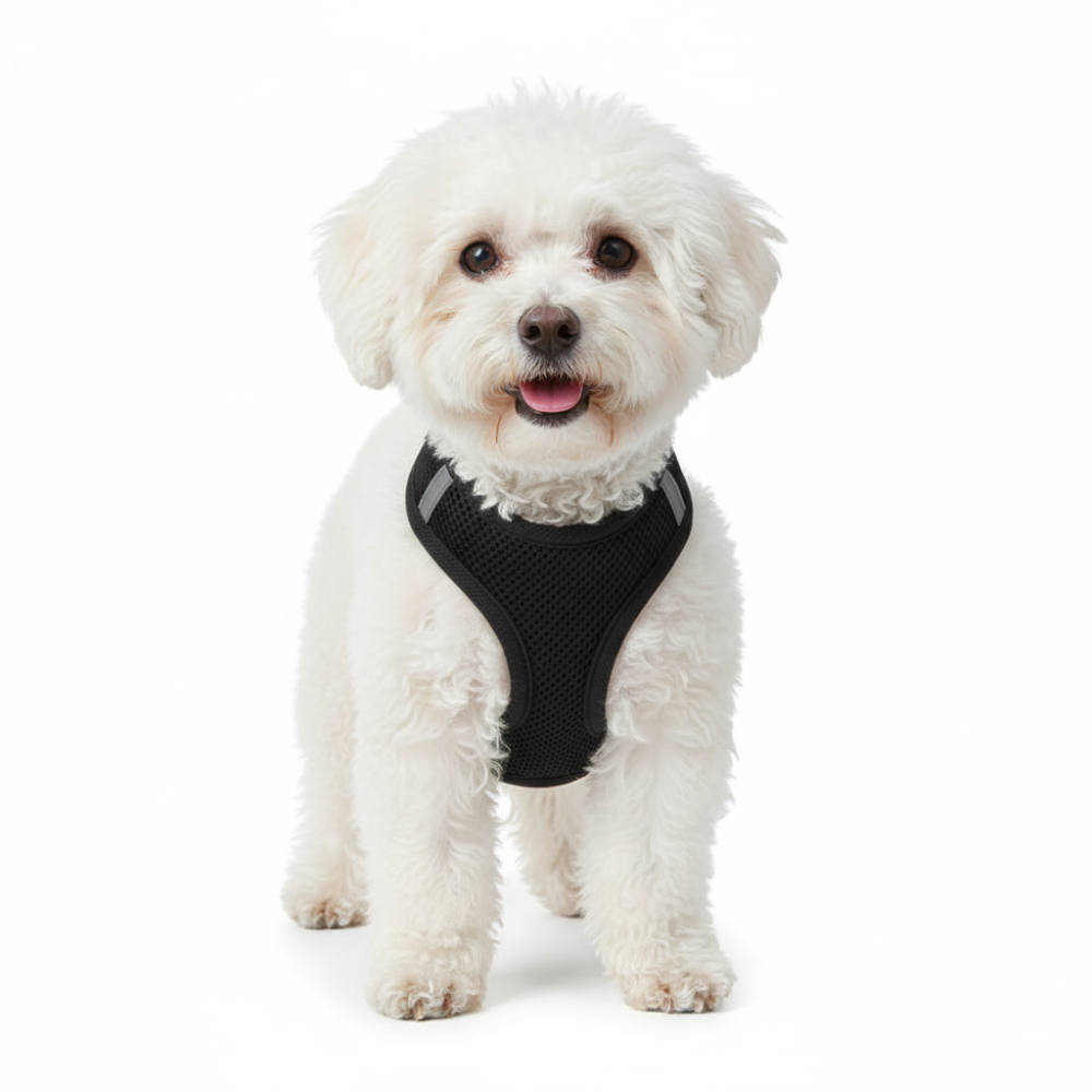 Step-In Air Mesh Dog Harness – Lightweight, Breathable & Reflective Pet Walking Harness